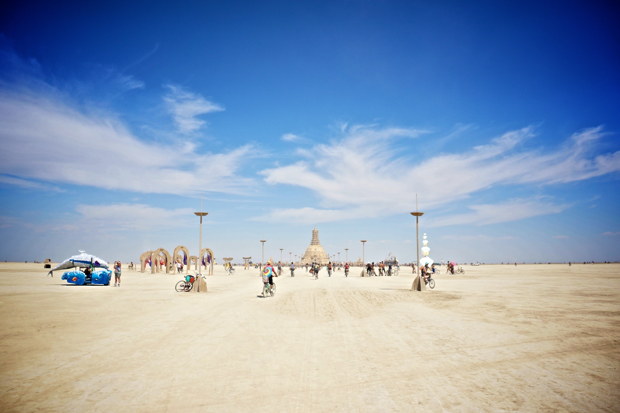 Lituanica Birds Camp. Burning Man 2014
