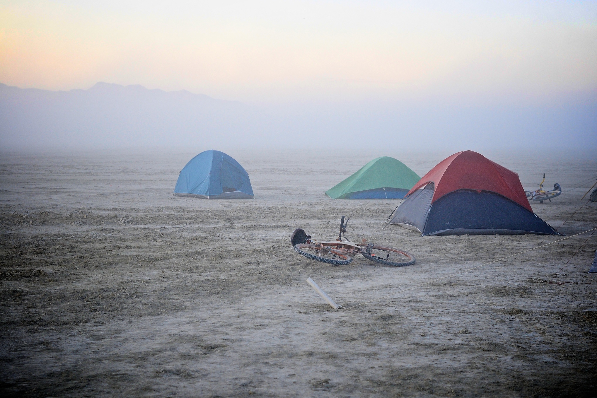 Lituanica Birds Camp. Burning Man 2014