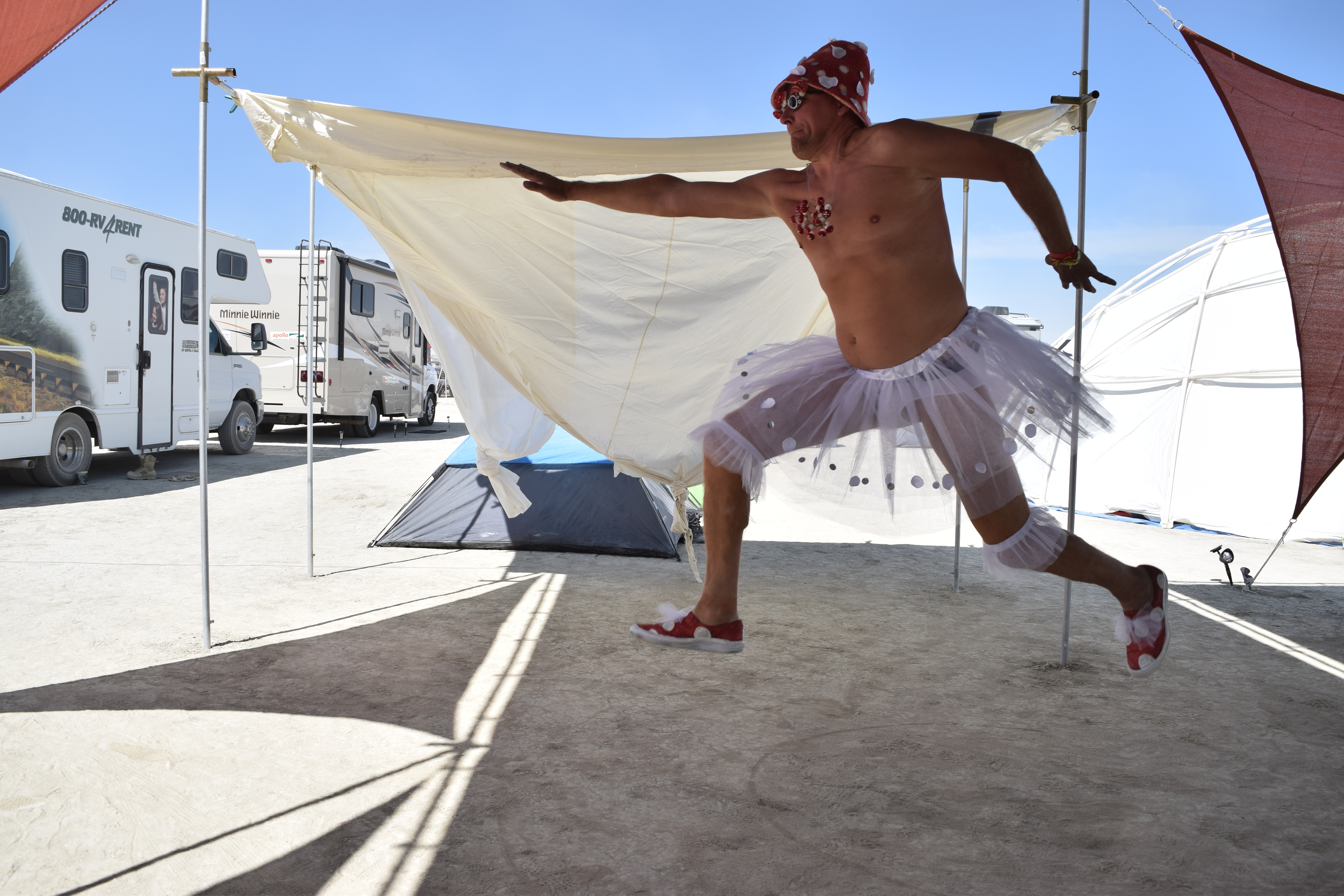 Lituanica Birds Camp. Burning Man 2015